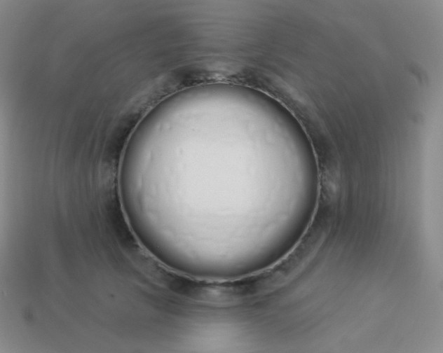 X0000114000657200910161710