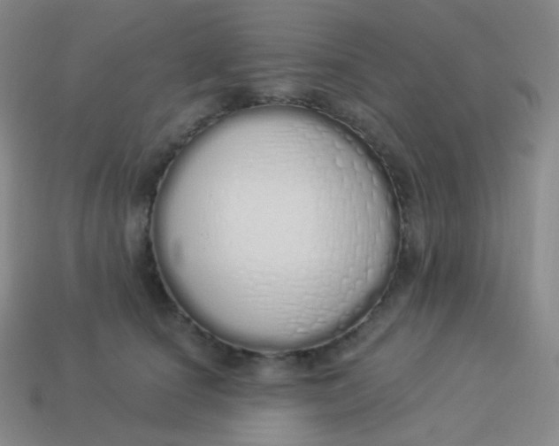 X0000114000660200910161710