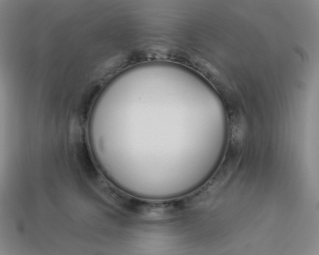 X0000114000661200910161710