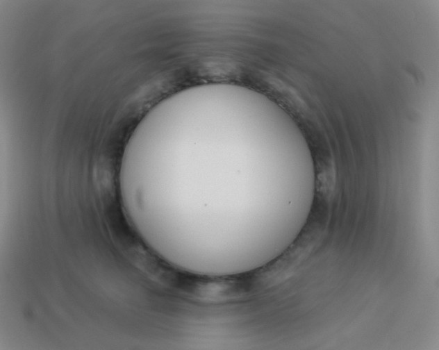 X0000114000662200910161710