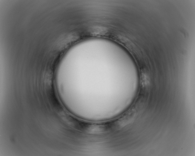 X0000114000664200910161710