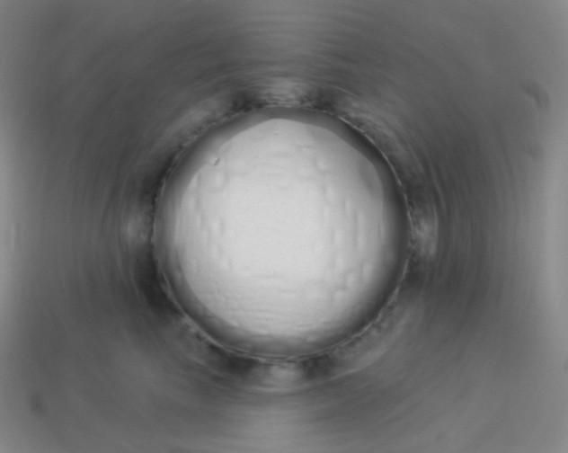 X0000114000665200910161710
