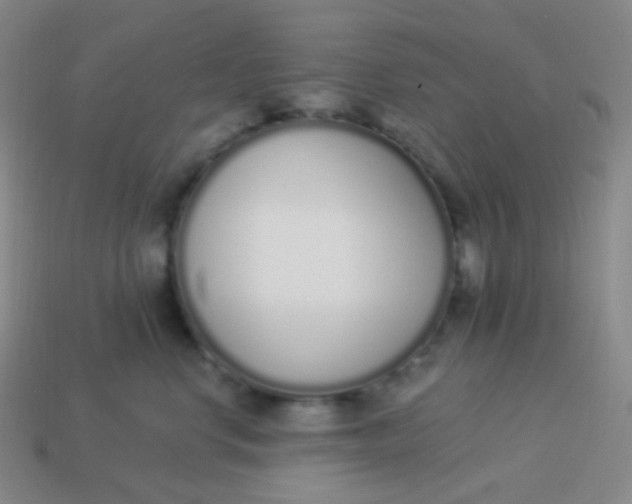 X0000114000668200910161710