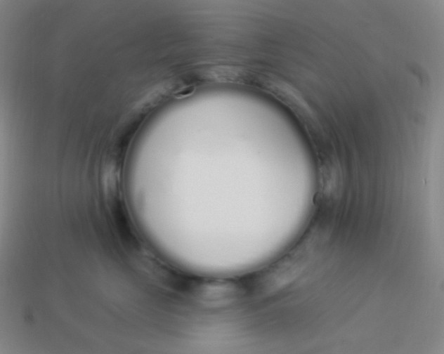 X0000114000669200910161710