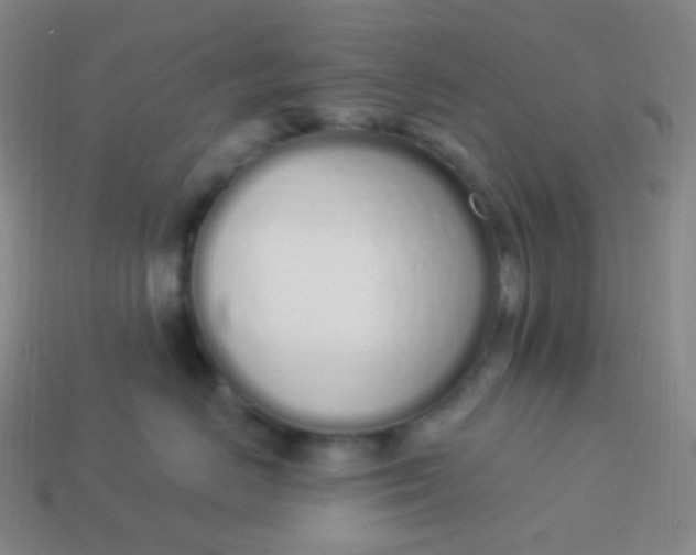 X0000114000670200910161710