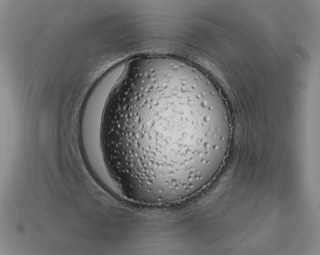 X0000114000673200910161709