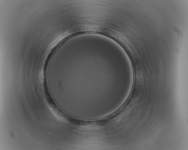X0000114000674200910161709