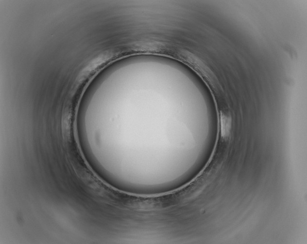 X0000114000675200910161709