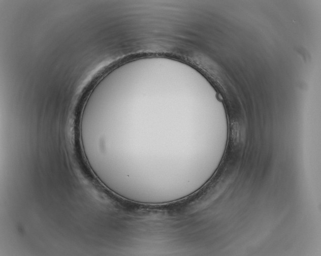 X0000114000676200910161709