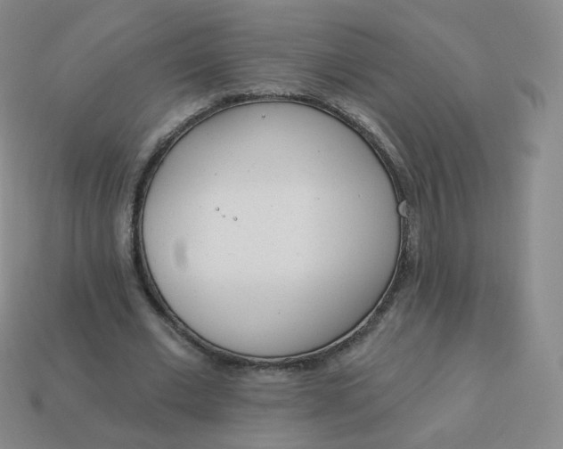 X0000114000677200910161709