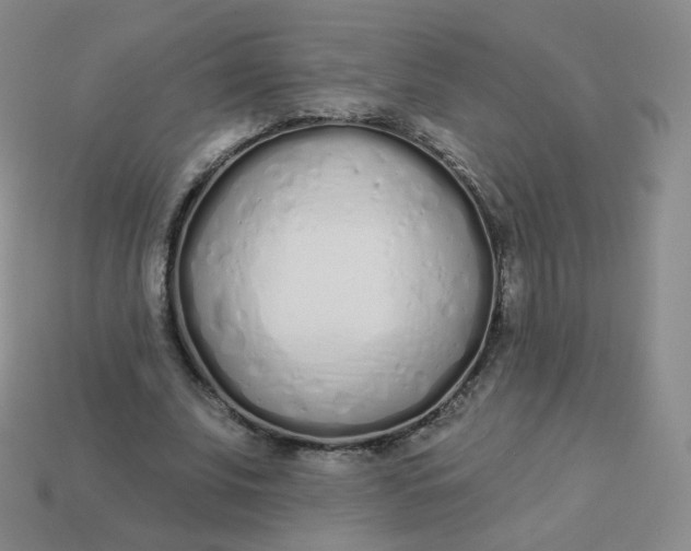 X0000114000679200910161709