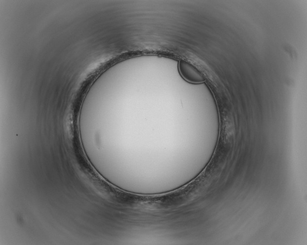 X0000114000680200910161709