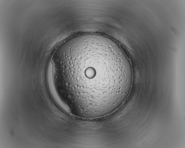X0000114000681200910161709