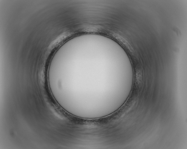X0000114000682200910161709