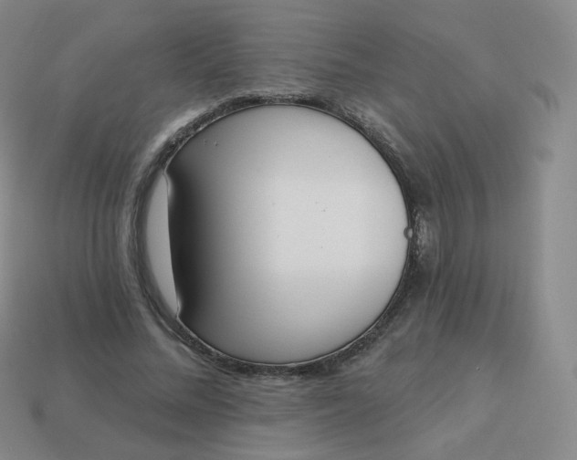 X0000114000684200910161709