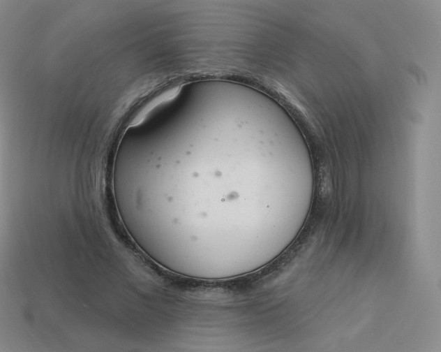 X0000114000685200910161709