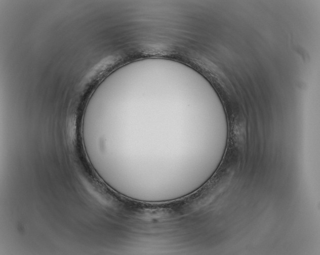 X0000114000686200910161709