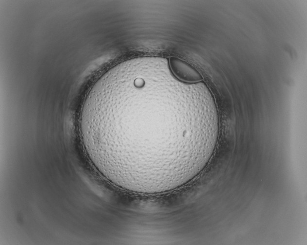 X0000114000688200910161709