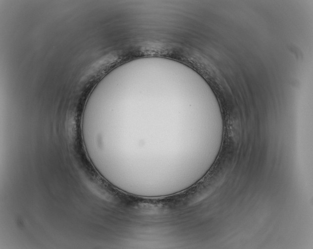 X0000114000690200910161709