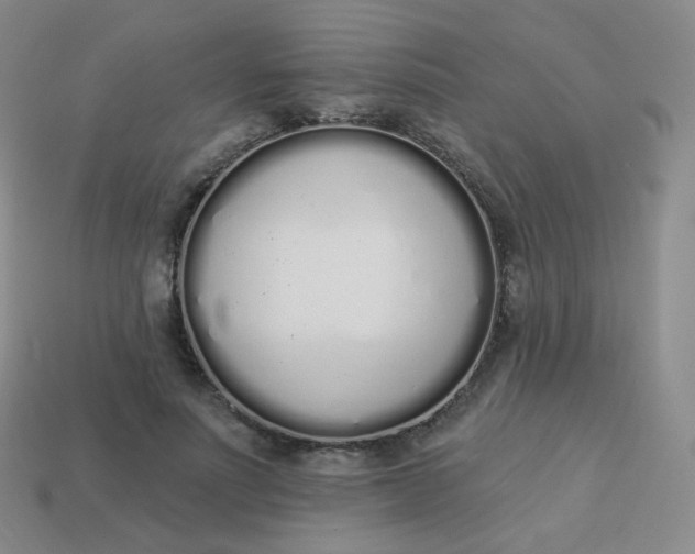 X0000114000691200910161709