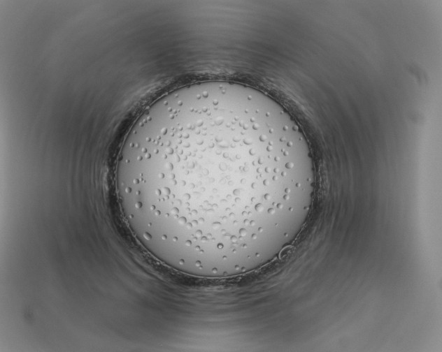 X0000114000692200910161709