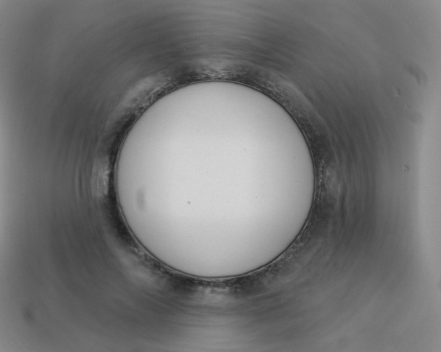 X0000114000694200910161709