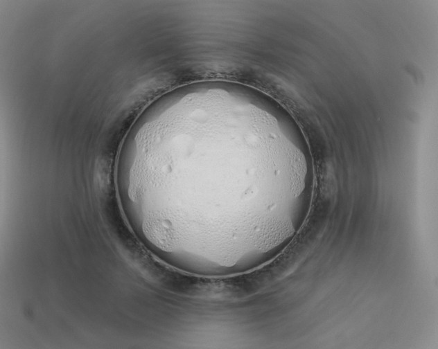 X0000114000695200910161709