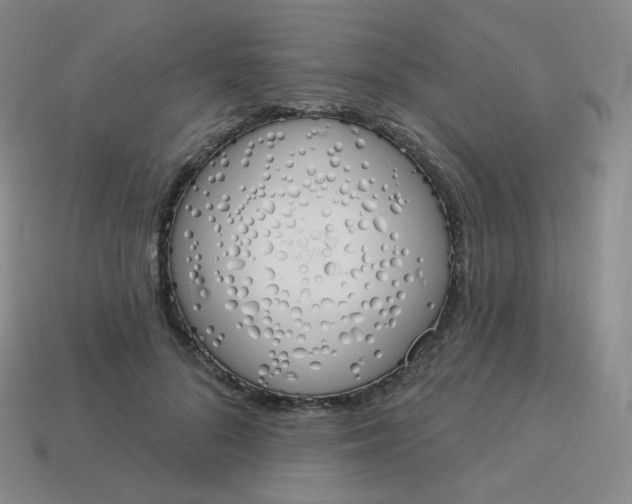 X0000114000696200910161709