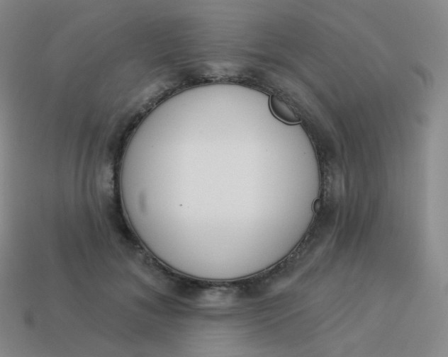 X0000114000700200910161709