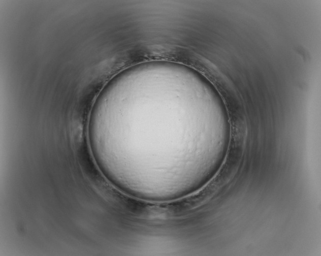 X0000114000703200910161709