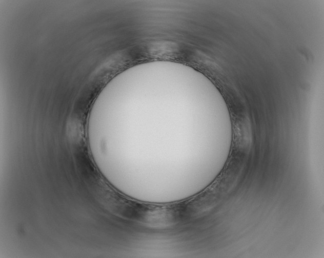 X0000114000705200910161709