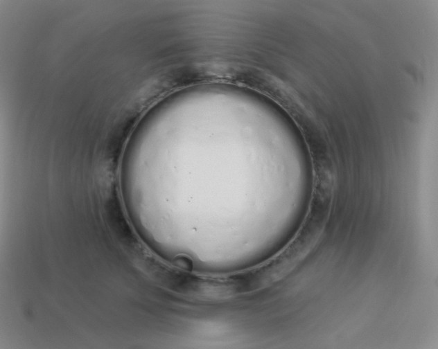 X0000114000707200910161709