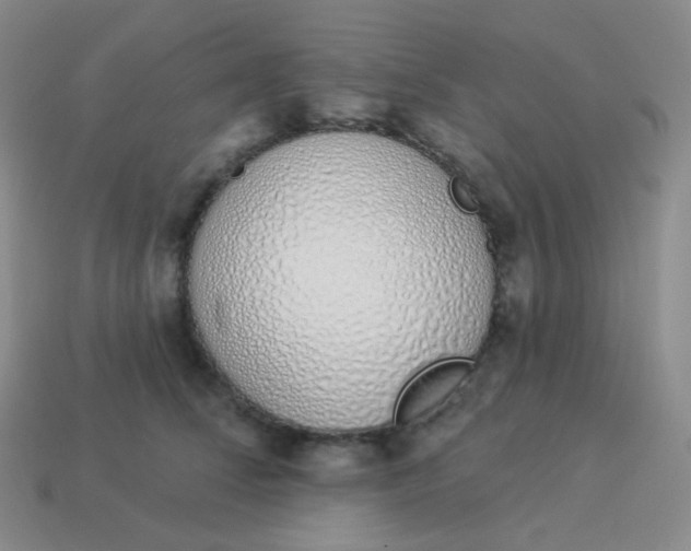 X0000114000708200910161709