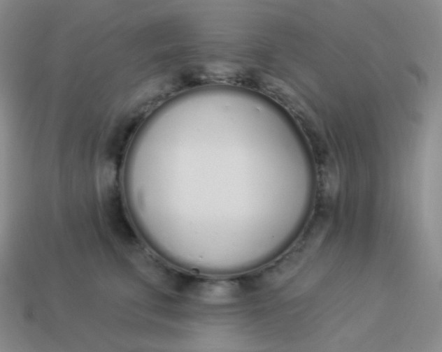 X0000114000711200910161709