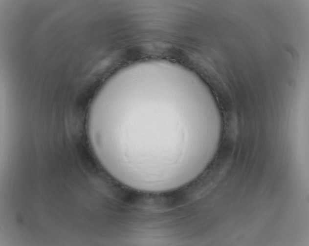 X0000114000712200910161709