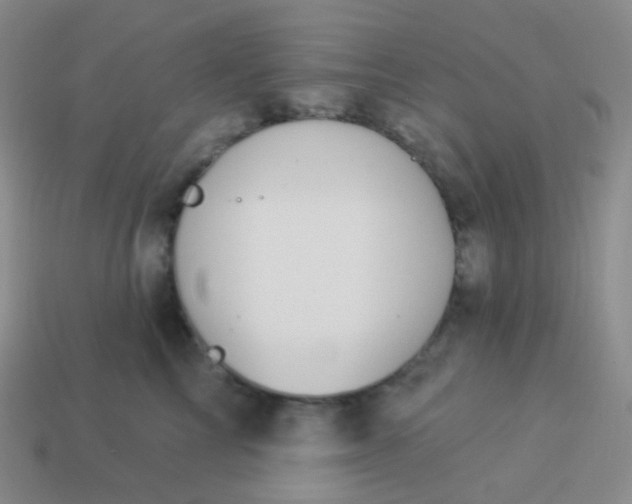 X0000114000713200910161709