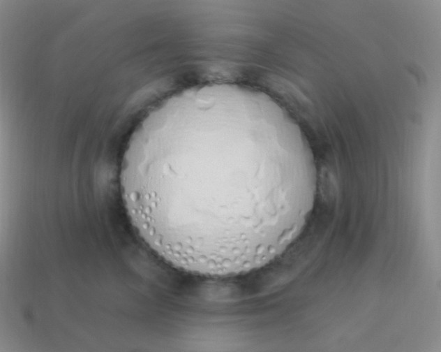 X0000114000714200910161709