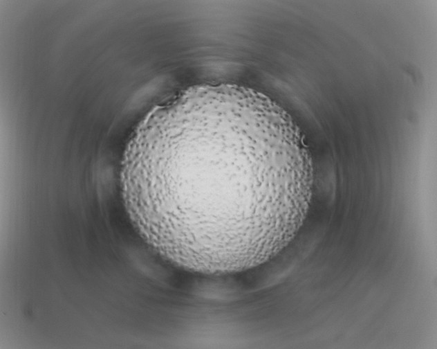 X0000114000716200910161709