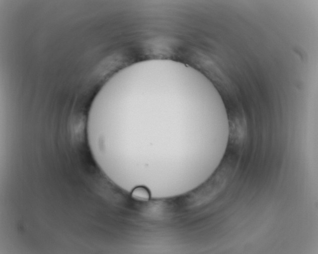 X0000114000717200910161709