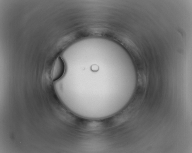 X0000114000718200910161709