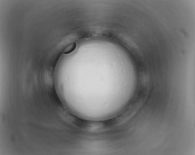 X0000114000719200910161709