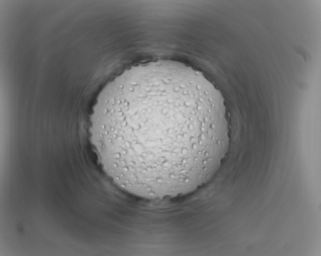 X0000114000720200910161709