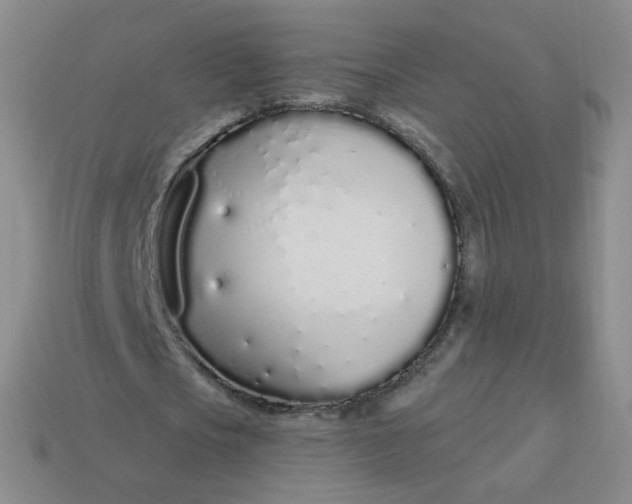 X0000114000721200910161708