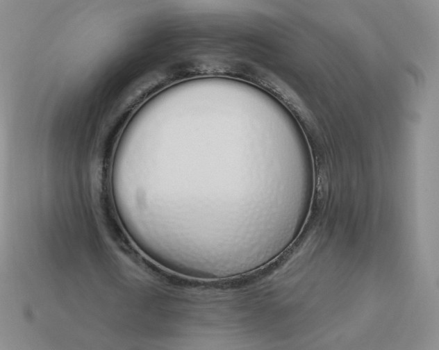 X0000114000722200910161708