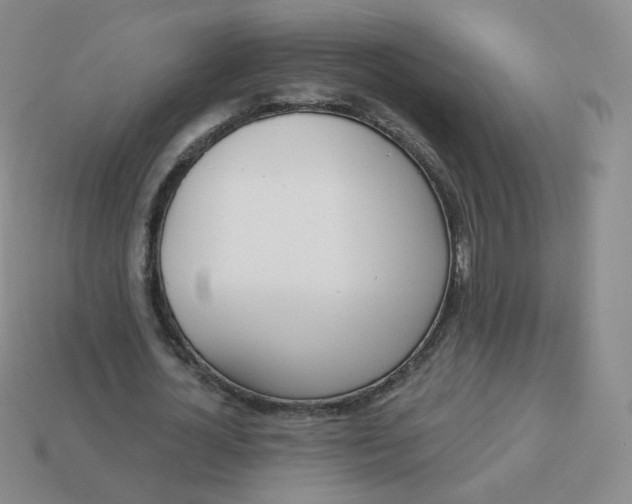 X0000114000724200910161708