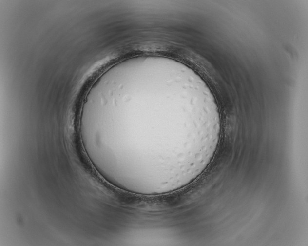 X0000114000727200910161708