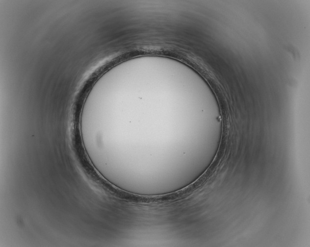 X0000114000728200910161708