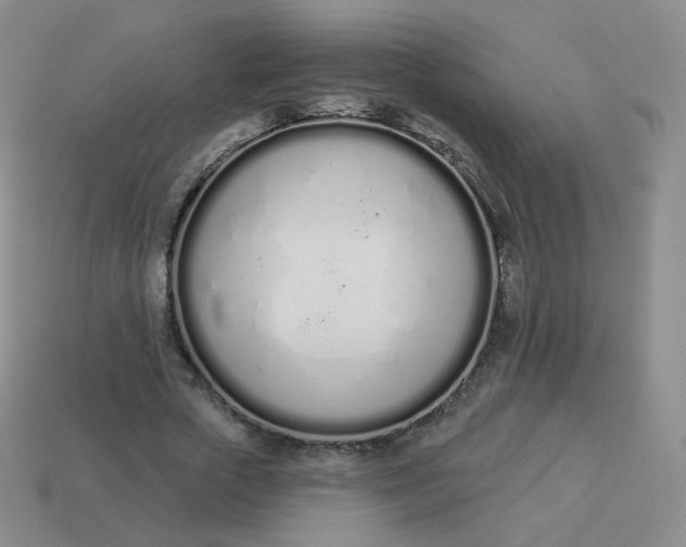 X0000114000729200910161708