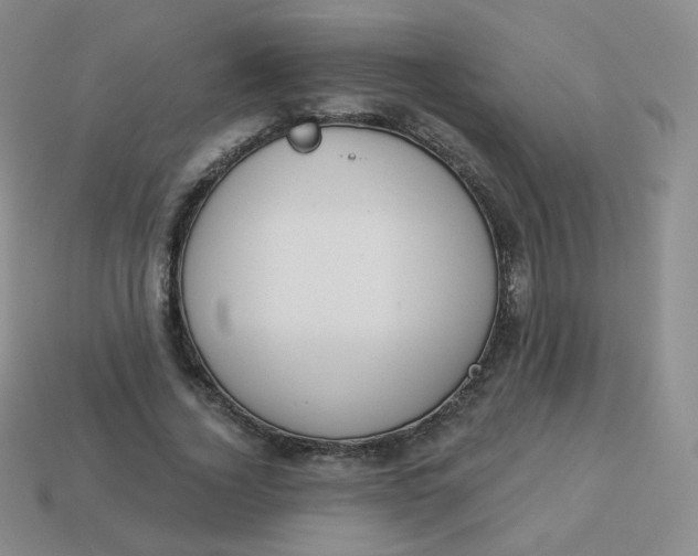 X0000114000732200910161708