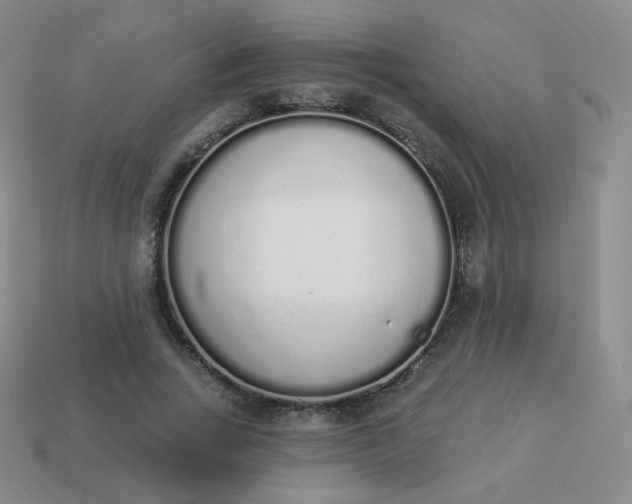 X0000114000735200910161708